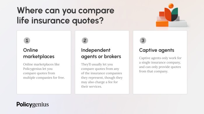 Get Free Life Insurance Quotes in Minutes – Policygenius