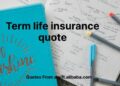 Term Life Insurance Explained - Partners Insurance, Inc.