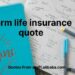 Term Life Insurance Explained - Partners Insurance, Inc.