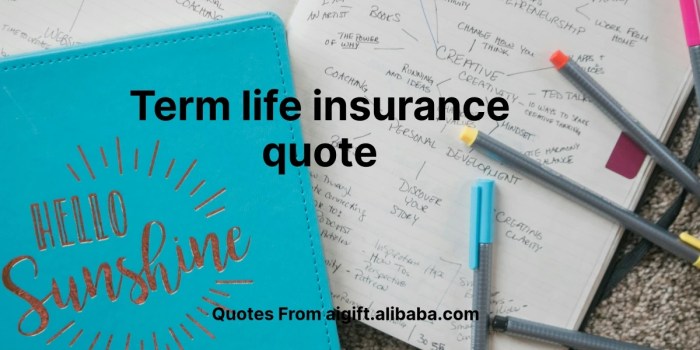 Term Life Insurance Explained - Partners Insurance, Inc.