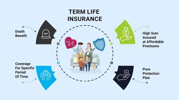 Term Life Insurance Advantages and Disadvantages » Effortless Insurance