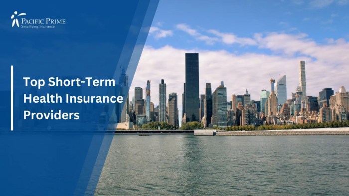 Top 10 Short-Term Health Insurance Plans