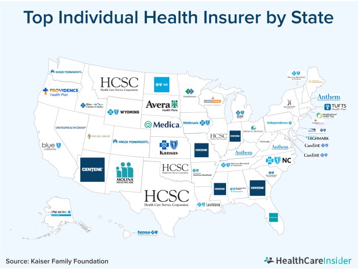 Top Individual Health Insurance Companies, Mapped - HealthCareInsider.com